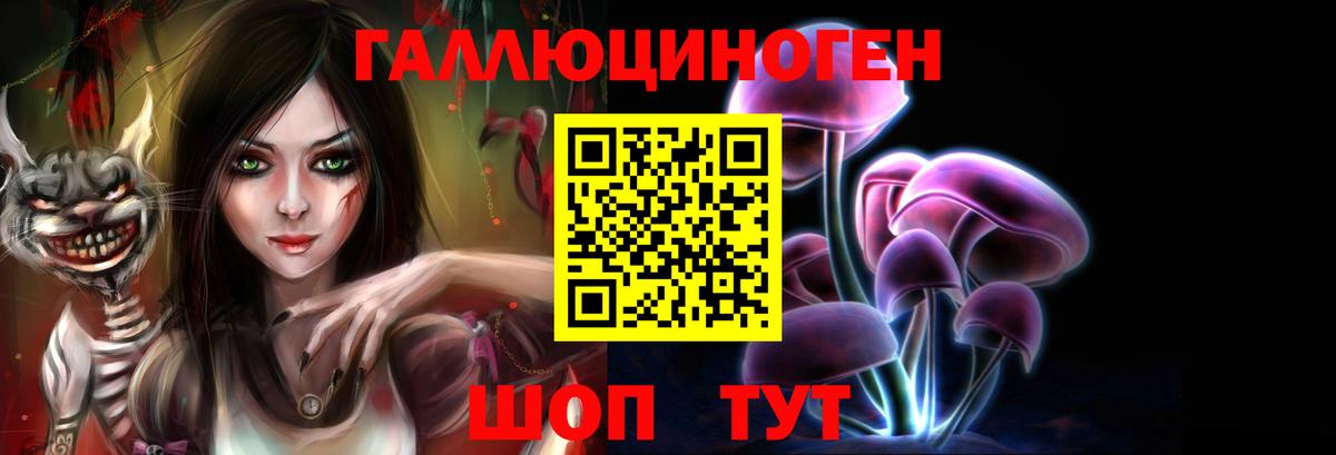 Псилоцибиновые грибы мицелий Новоалтайск